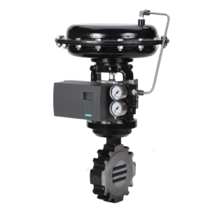 Mark 75 Series with 16IQ Series Smart Positioner