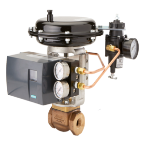 Mark 78 Series with 16IQ Series Smart Positioner